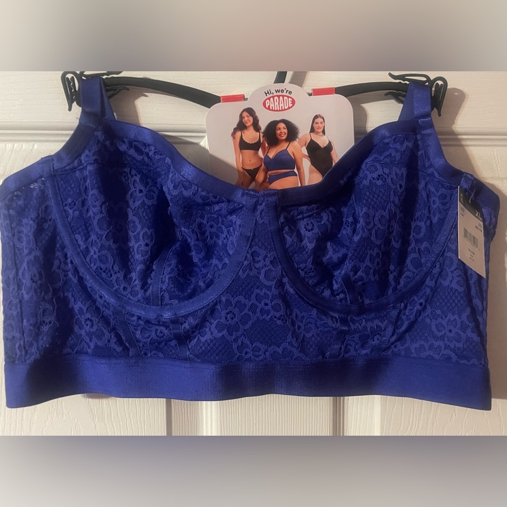 Elegant Blue Lace Bustier! NWT! - Picture 5 of 7